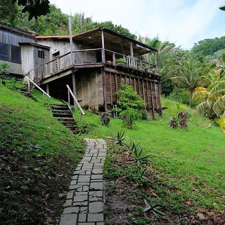 Guanaja Backpackers Hostel 외부 사진