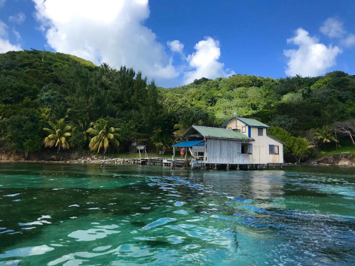 Guanaja Backpackers Hostel 외부 사진